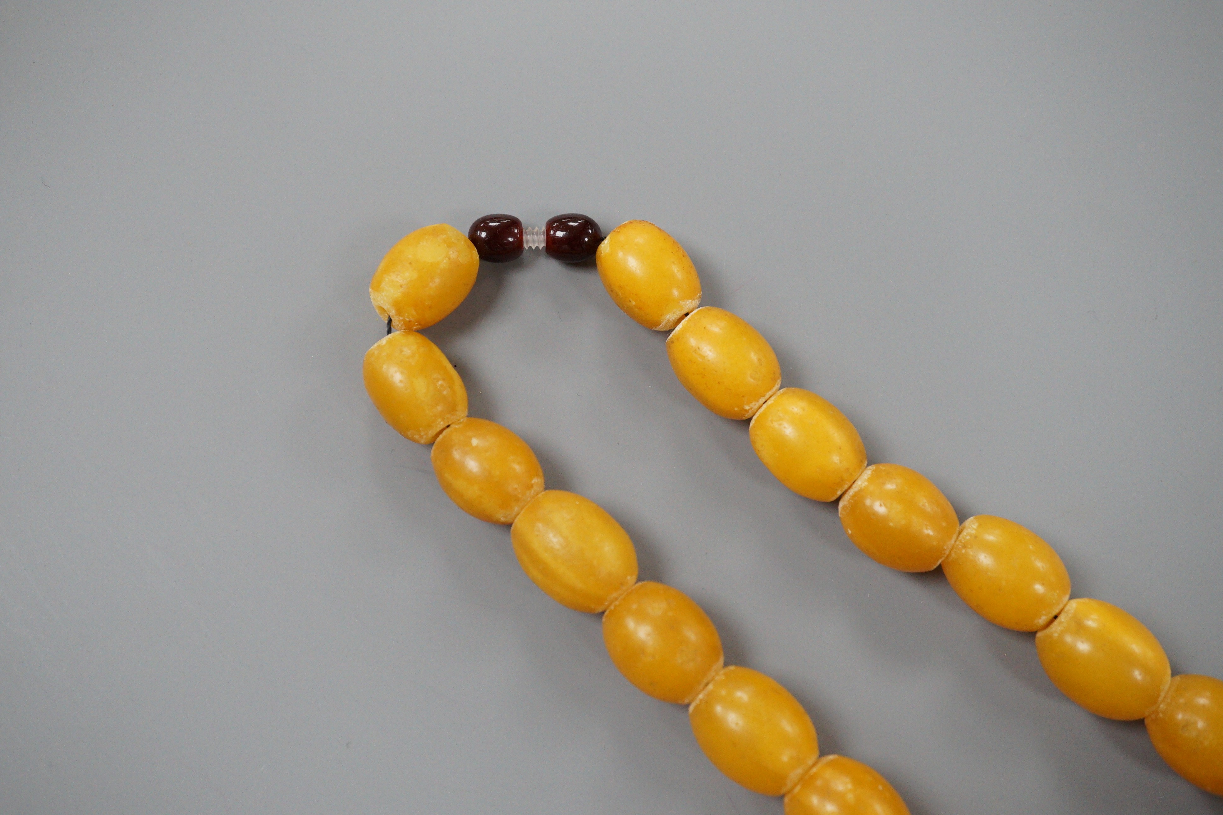 A singe strand oval amber bead necklace, 56cm, gross 68 grams.